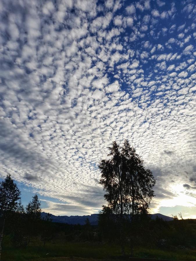 Villa Breza Žabljak Zewnętrze zdjęcie